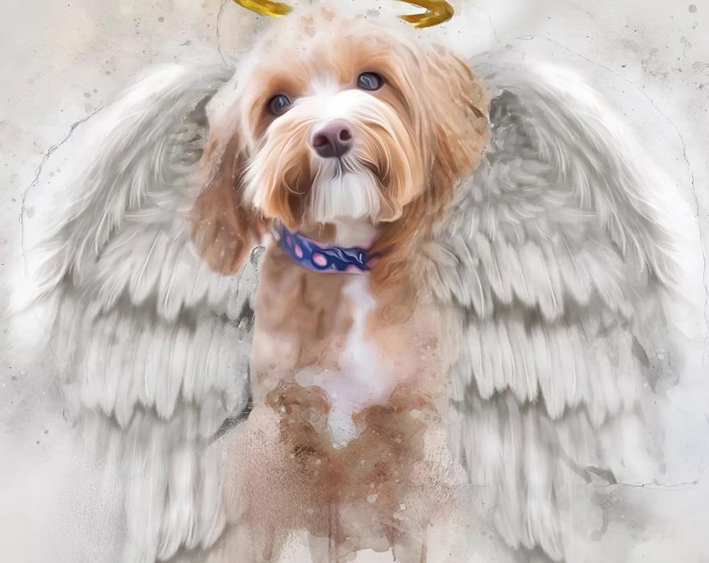 Pet Loss Memorial Portrait with Angel Wings