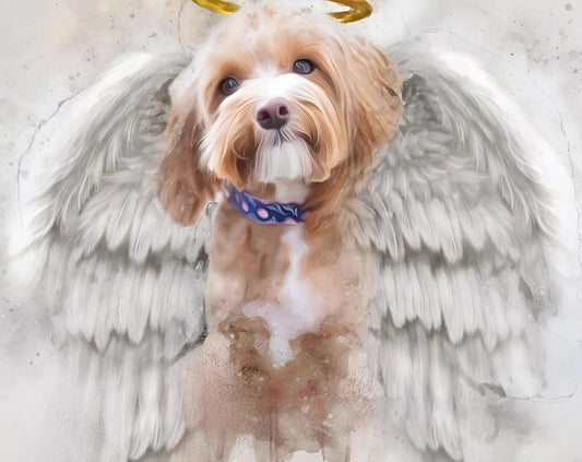 Pet Loss Memorial Portrait with Angel Wings